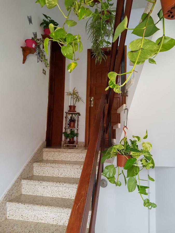 شقة Atico Con Vistas Al Mar, Garachico غاراتْشيكو المظهر الخارجي الصورة